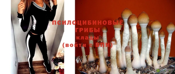 бошки Фурманов
