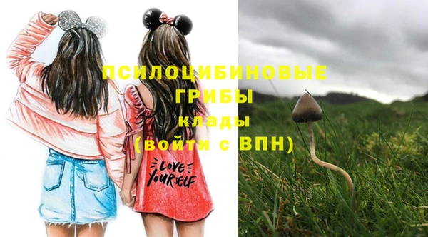 бошки Фурманов