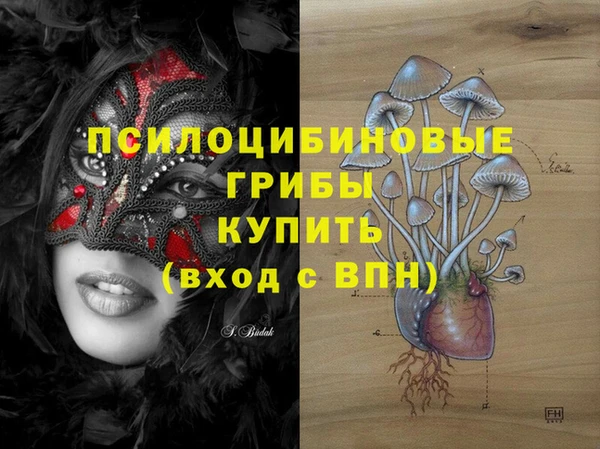 бошки Фурманов
