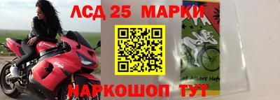 СК Бугуруслан