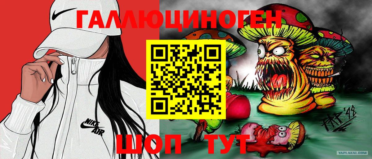 Галлюциногенные грибы GOLDEN TEACHER  Волгодонск  Псилоцибиновые грибы мицелий 