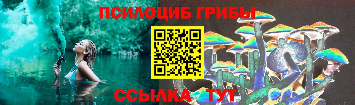 Волгодонск  Псилоцибиновые грибы Cubensis  Галлюциногенные грибы GOLDEN TEACHER  Вход с VPN 